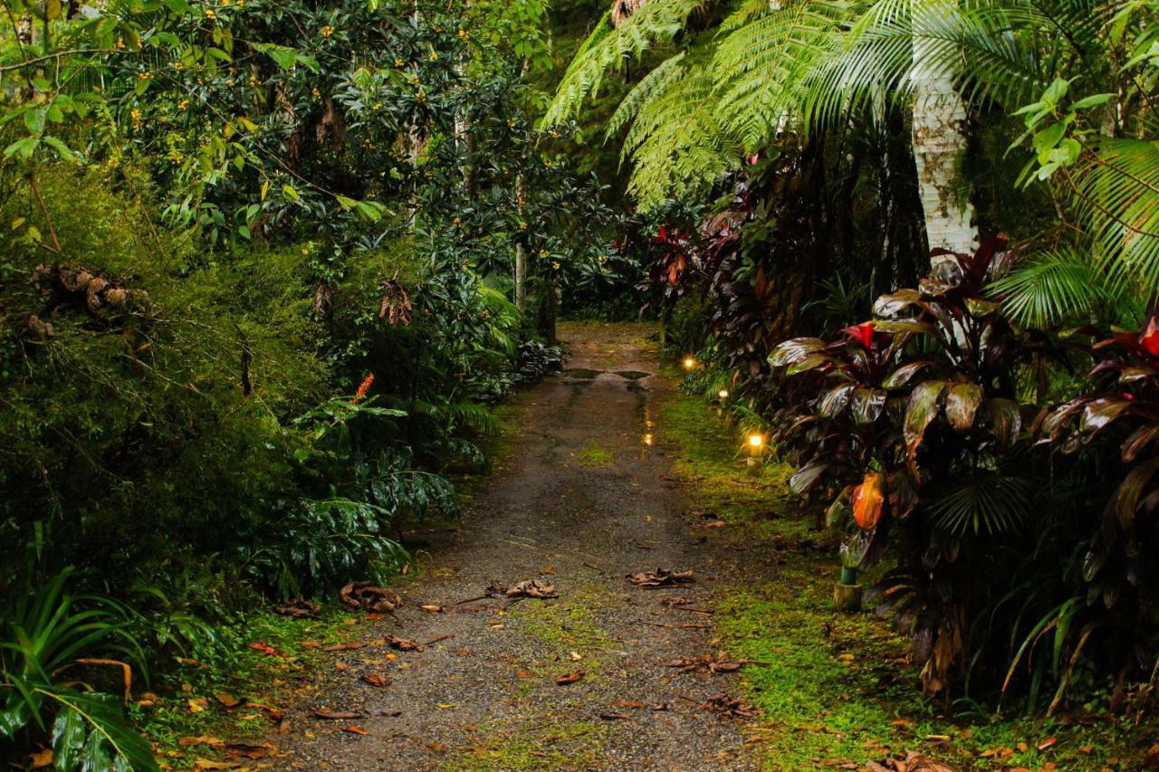 Quarto Varanda - Residencia Gaia Itatiaia 이타티아이아 외부 사진